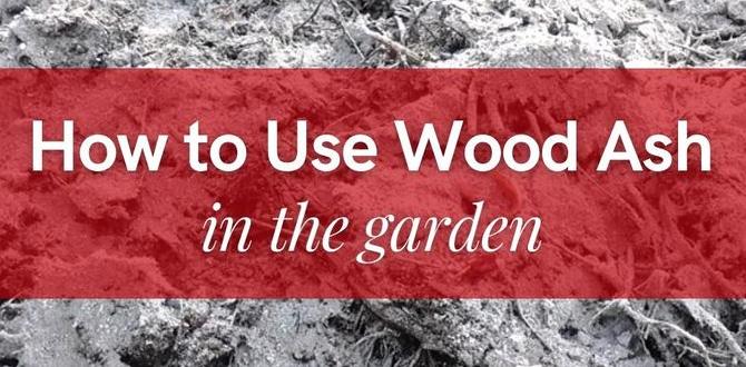 How Much Ash Wood is Needed for Your DIY Project How Much Ash Wood is Needed for Your DIY Project