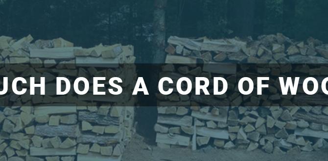 How Much Does a Cord of Ash Wood Cost