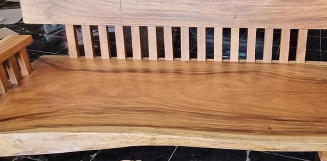 How to Build a Wood Slab Bench: A DIY Guide How to Build a Wood Slab Bench: A DIY Guide