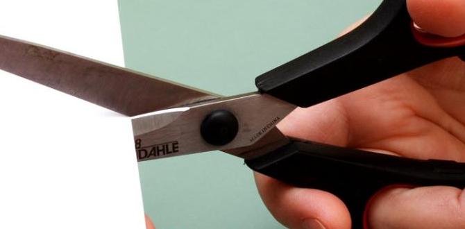 How to Cut Wood Without a Saw: Swift & Simple Techniques How to Cut Wood Without a Saw: Swift & Simple Techniques