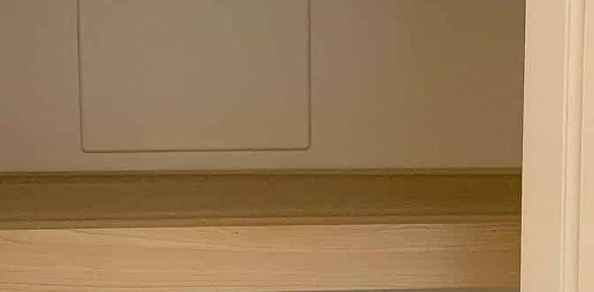 How to Make Thick Wood Shelves: DIY Durability Guide How to Make Thick Wood Shelves: DIY Durability Guide