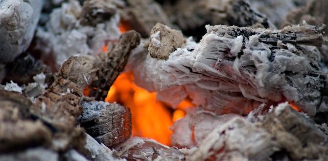 How to Make Wood Ash
