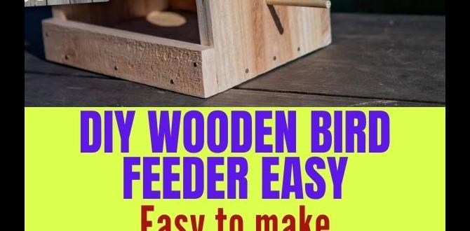 How to Make Wood Letters: Easy DIY Guide for Stunning Wooden Creations How to Make Wood Letters: Easy DIY Guide for Stunning Wooden Creations