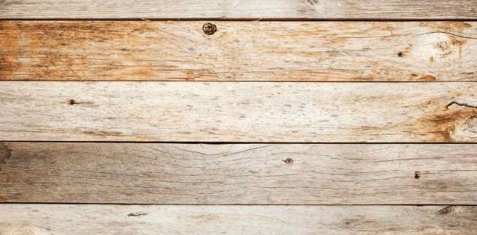 How to Make a Drop Ceiling Out of Wood: DIY Mastery How to Make a Drop Ceiling Out of Wood: DIY Mastery