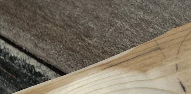 How to Make a Wooden Propeller: DIY Mastery How to Make a Wooden Propeller: DIY Mastery