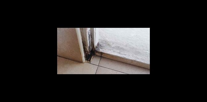 How to Repair Rotted Wooden Door Frame: Quick Fixes!