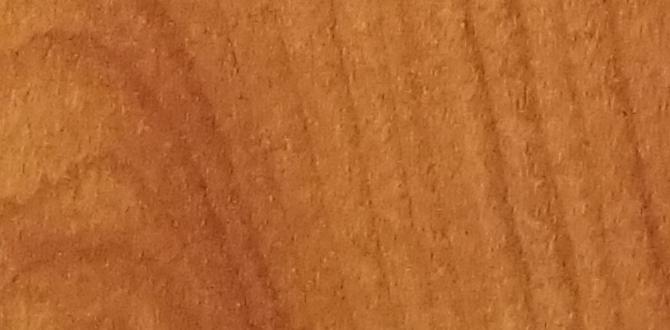 Is Wood a Good Insulator: Unveiling the Truth Is Wood a Good Insulator: Unveiling the Truth
