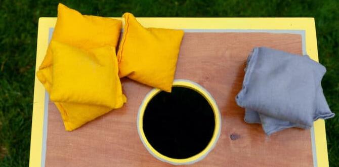 Plans for Bean Bag Toss Board: Build & Play Guide
