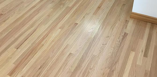 Hardwood Flooring Installation Cost in the USA: Your 2025 Guide to Budgeting Smart Hardwood Flooring Installation Cost in the USA: Your 2025 Guide to Budgeting Smart