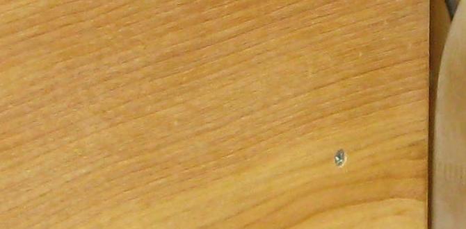 bandsaw drift correction tricks bandsaw drift correction tricks