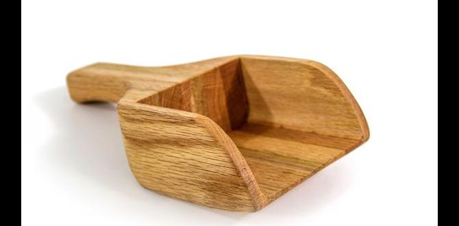 bandsaw project ideas for kids bandsaw project ideas for kids