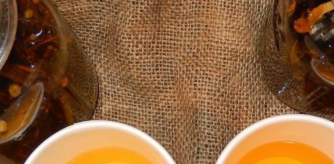 benefits of birch tree tea benefits of birch tree tea
