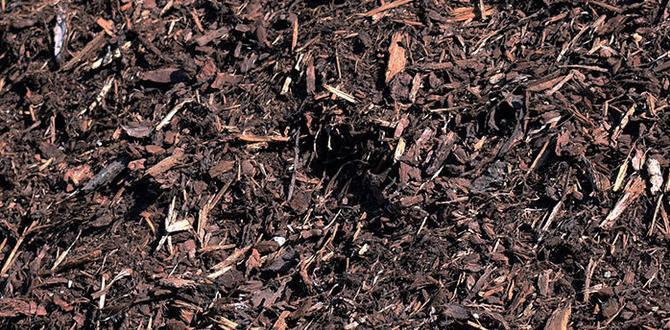 bulk birch bark mulch