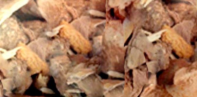 bulk birch branches with bark bulk birch branches with bark