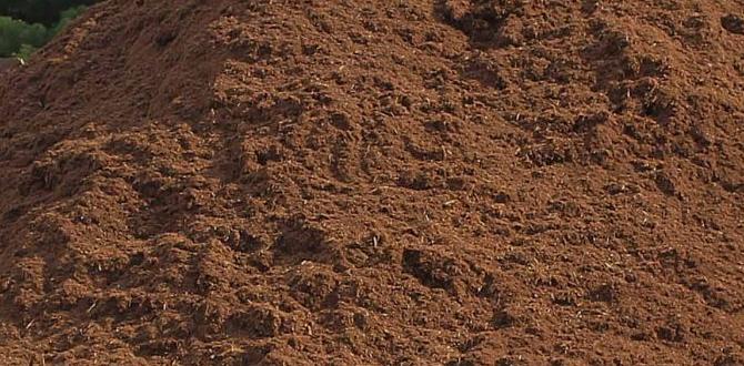 bulk birch mulch