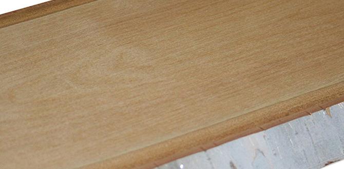 bulk birch planks for crafts bulk birch planks for crafts