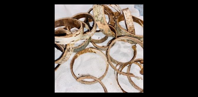 bulk birch rings for crafting bulk birch rings for crafting