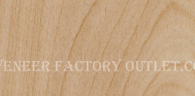 bulk birch veneer sheets bulk birch veneer sheets
