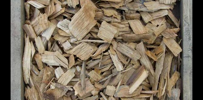 bulk birch wood chips