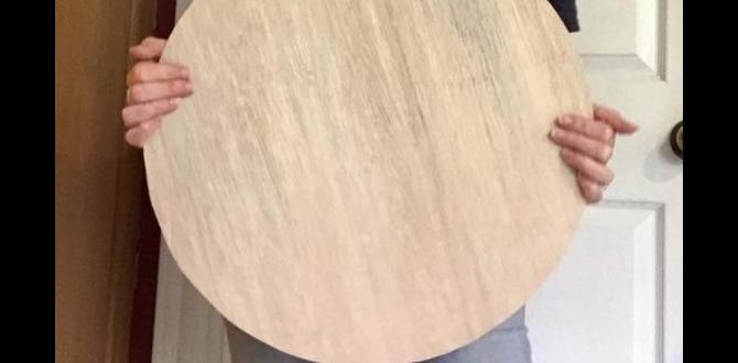 bulk birch wooden circles