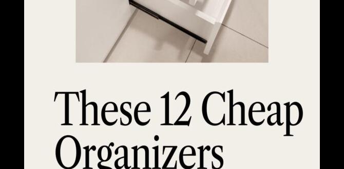 cheap birch desk organizers