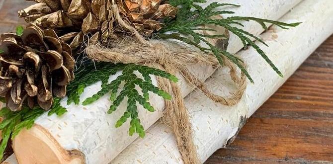 cheap birch fireplace decorations cheap birch fireplace decorations