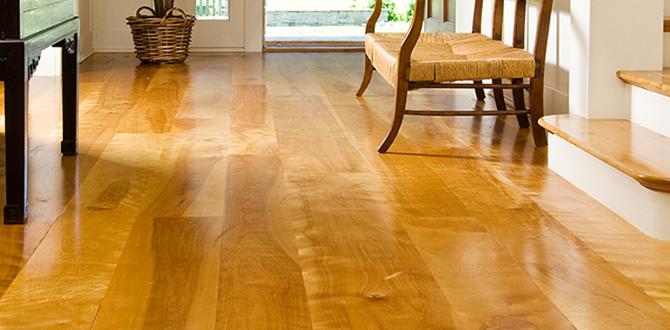 cheap birch flooring deals