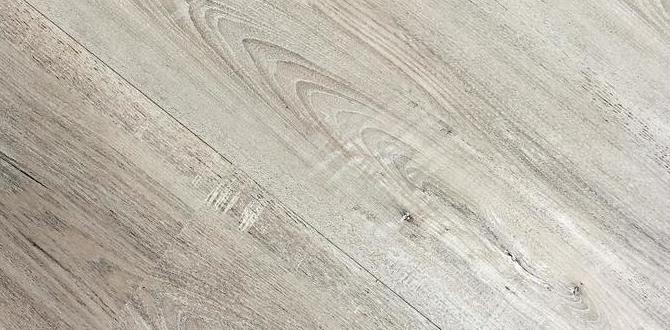 cheap birch flooring near me