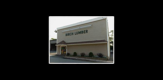 cheap birch lumber near me