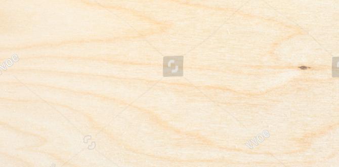 cheap birch planks