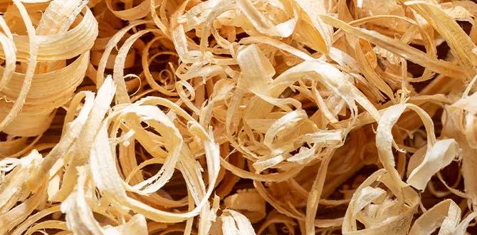 cheap birch shavings for bedding cheap birch shavings for bedding