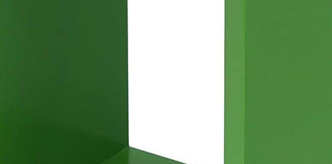 cheap birch wall shelves