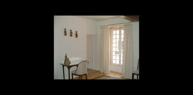 decorative birch baseboard covers