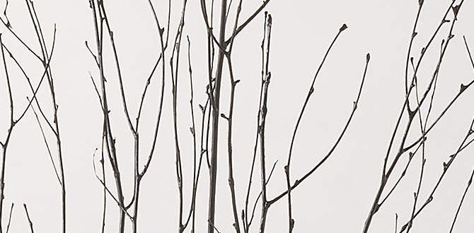 decorative birch branches