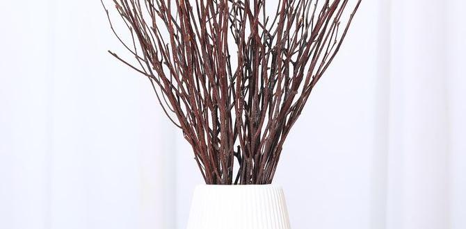 decorative birch centerpiece sticks decorative birch centerpiece sticks
