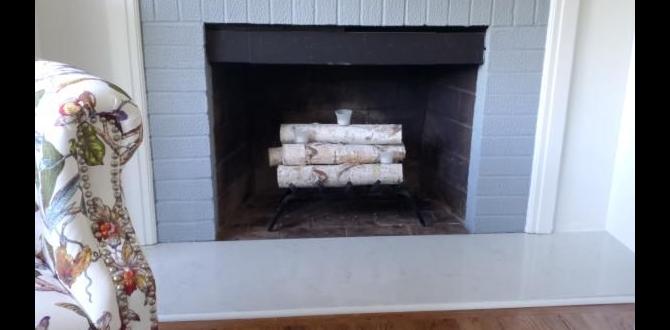 decorative birch log bundles decorative birch log bundles