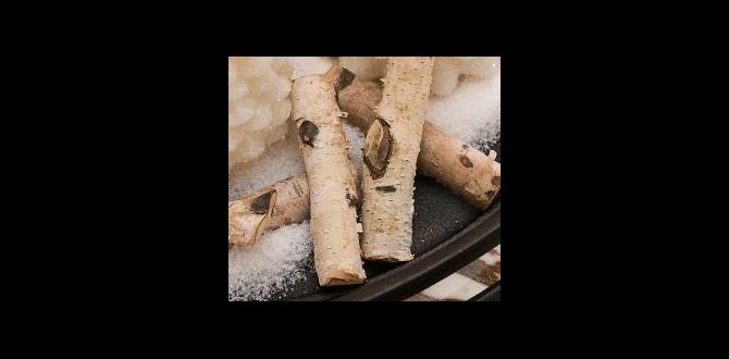 decorative birch vase filler sticks decorative birch vase filler sticks