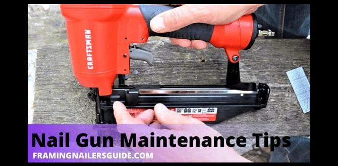 derusting nail gun parts tips derusting nail gun parts tips