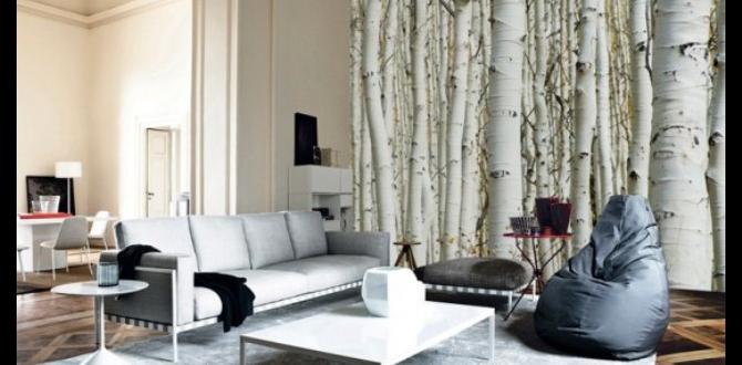 indoor birch accent walls indoor birch accent walls
