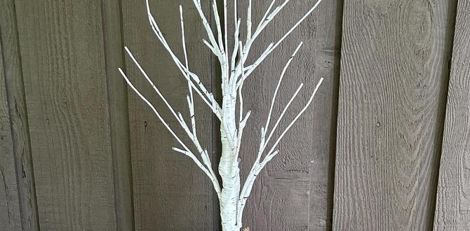 indoor birch centerpiece with lights