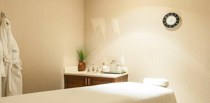 indoor birch room transformation ideas indoor birch room transformation ideas