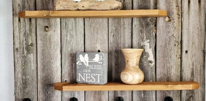 indoor birch shelves DIY