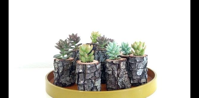 indoor birch twig bundle decor indoor birch twig bundle decor