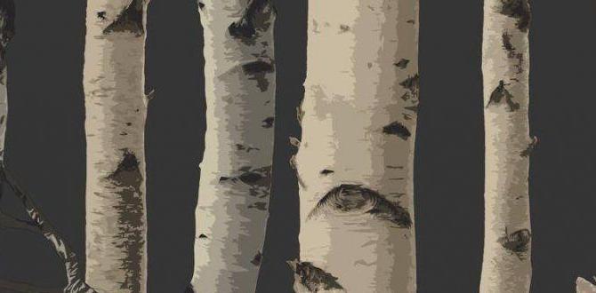indoor birch wallpaper patterns indoor birch wallpaper patterns