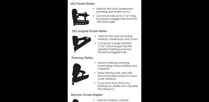 nail gun clip types explained