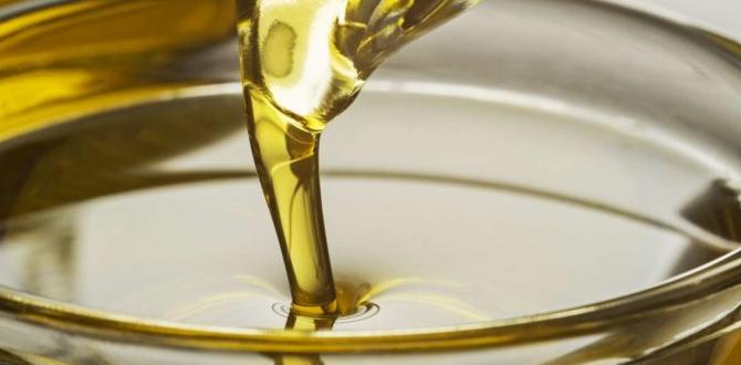 oil free vs oiled nail gun oil free vs oiled nail gun