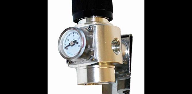 pneumatic nail gun regulator settings pneumatic nail gun regulator settings