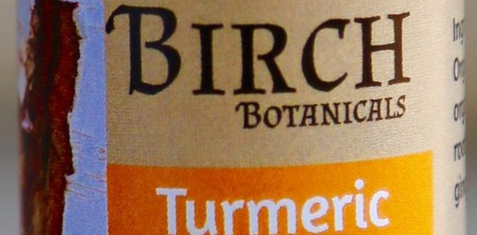safe birch bark remedies safe birch bark remedies