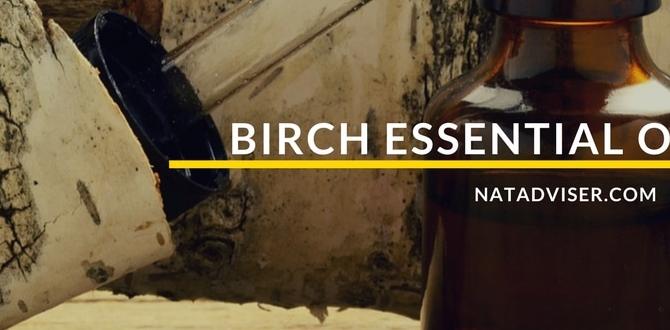 safe birch essential oil uses