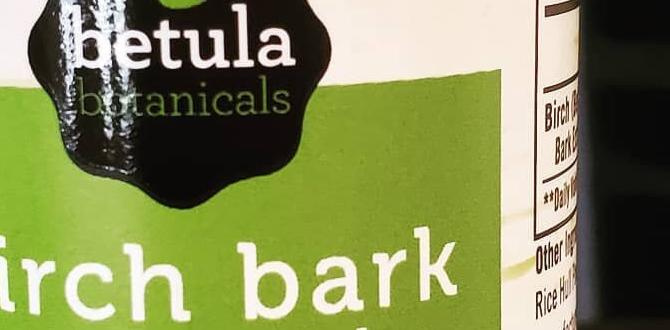 safe birch extract for face safe birch extract for face